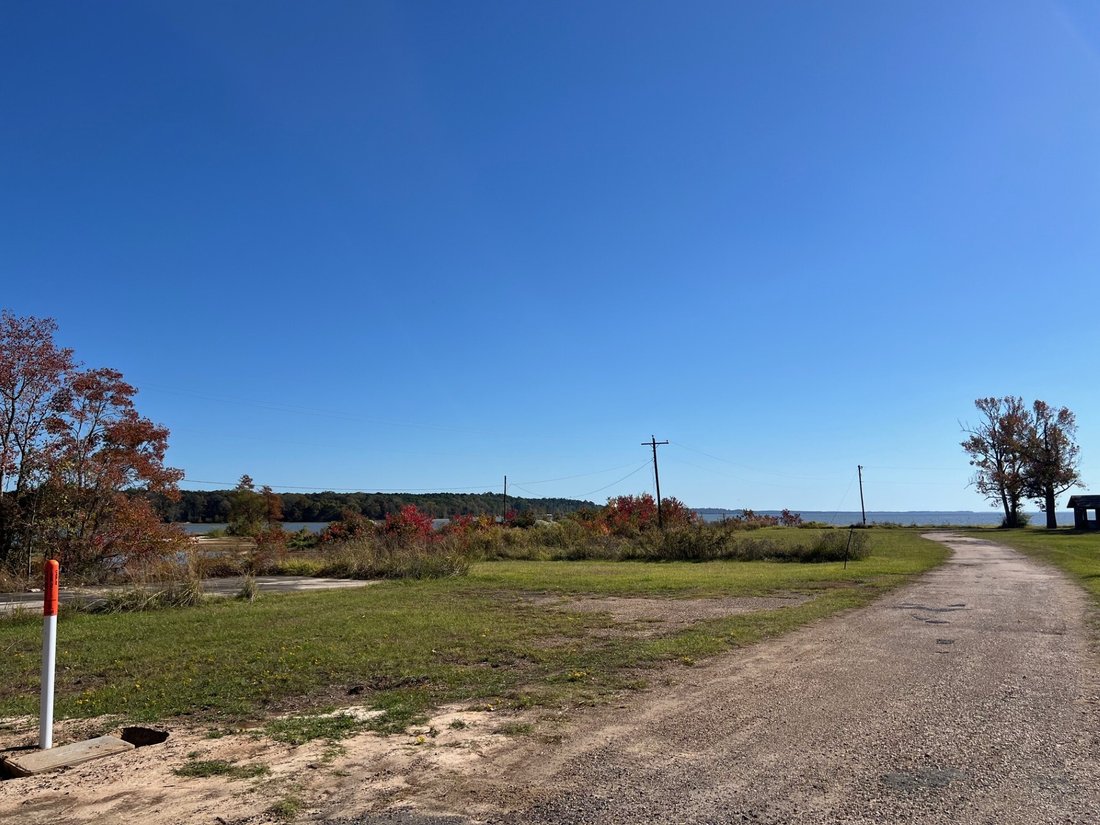 Land in Converse, Louisiana, United States 5 - 16667182