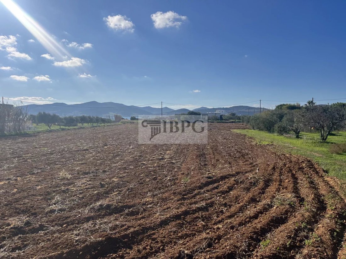 Land in Paros, Aegean, Greece 5 - 16667728