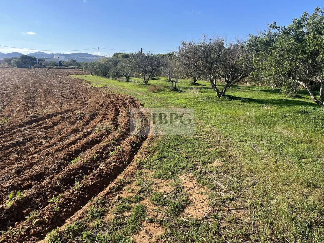 Land in Paros, Aegean, Greece 4 - 16667728