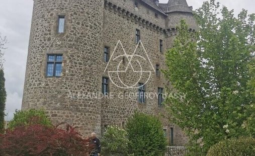 Castle for Sale in Guéret, Nouvelle-Aquitaine, France