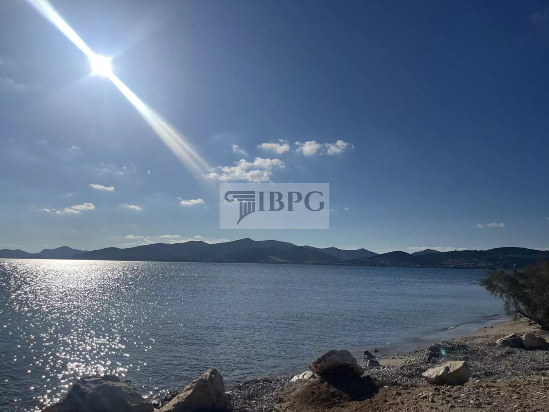 Land in Paros, Aegean, Greece 1 - 16667728