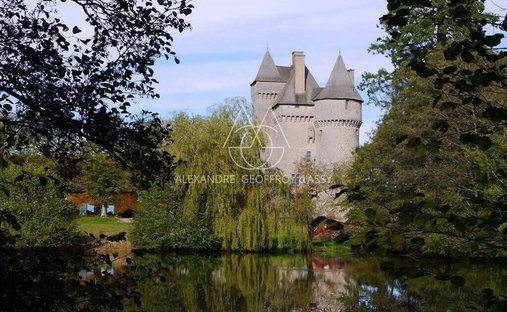 Castle for Sale in Guéret, Nouvelle-Aquitaine, France