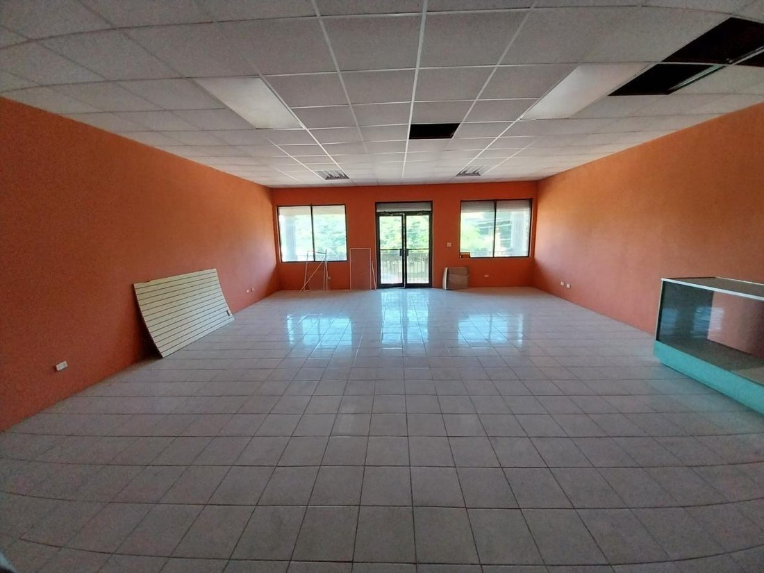 Nassau, New Providence, The Bahamas 4 - 16669720