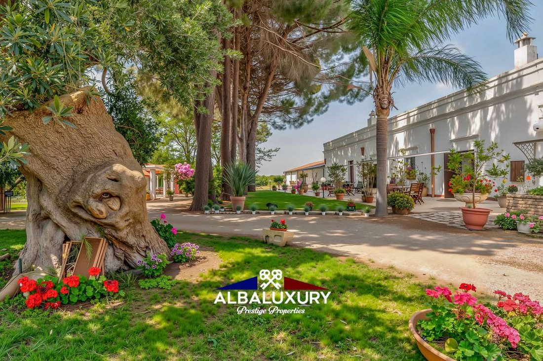 Villa in Ginosa, Apulia, Italy 5 - 15346312