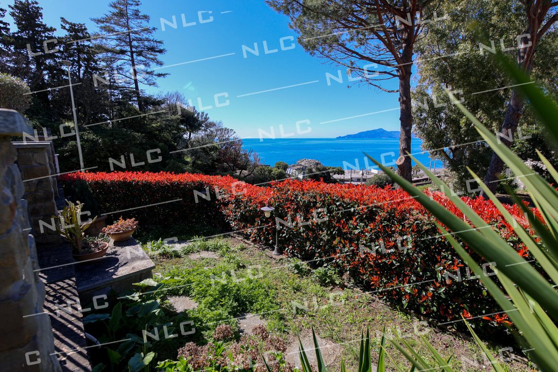 Villa in Lavagna, Liguria, Italy 3 - 16668873