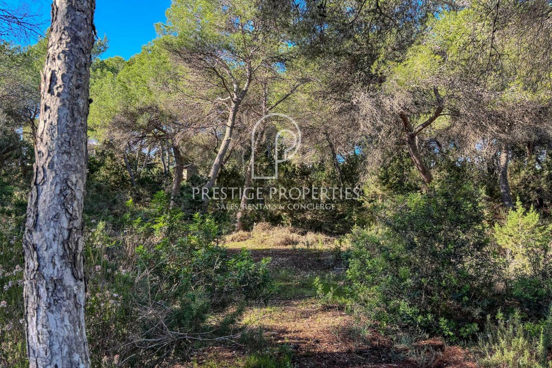 Land in Cala Llenya, Santa Eularia des Riu, Balearic Islands 5 - 16668799