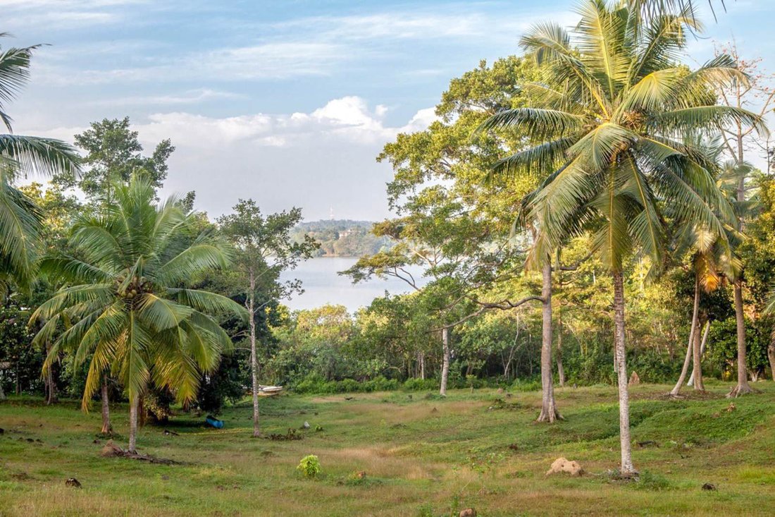Land in Habaraduwa, Southern Province, Sri Lanka 3 - 16670857