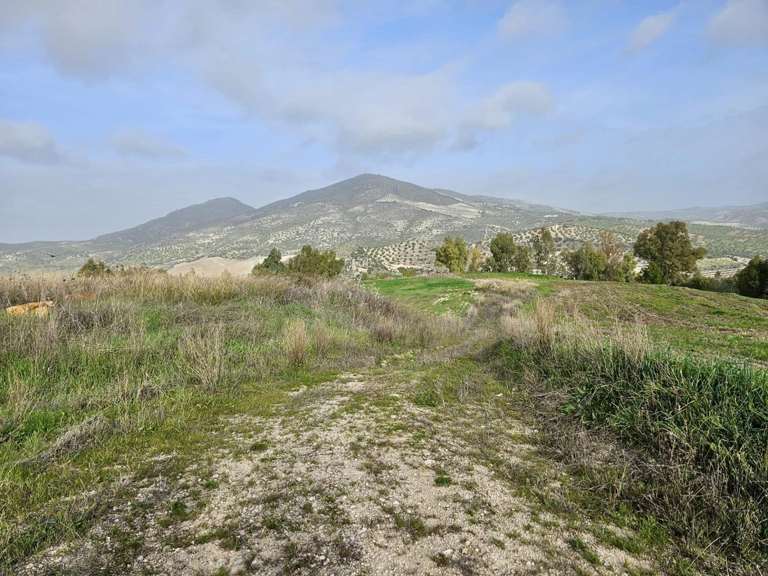 Andere in Olvera, Andalusien, Spanien 5 - 16669292