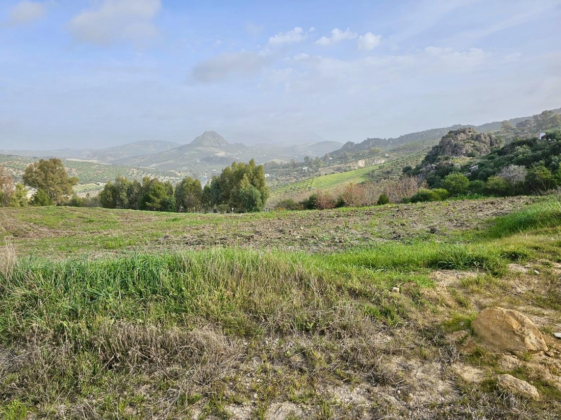 Andere in Olvera, Andalusien, Spanien 4 - 16669292