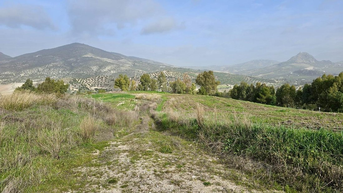 Andere in Olvera, Andalusien, Spanien 2 - 16669292