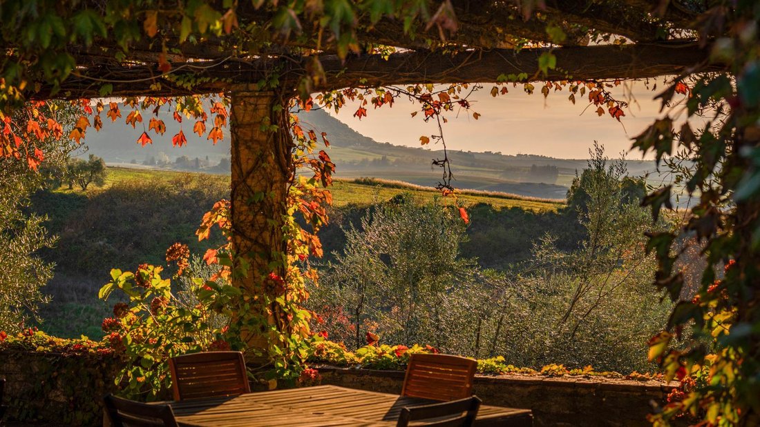 Country House in Castel del Piano, Tuscany, Italy 4 - 16668874