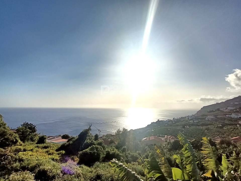 Land in Estreito da Calheta, Madeira, Portugal 2 - 16669050