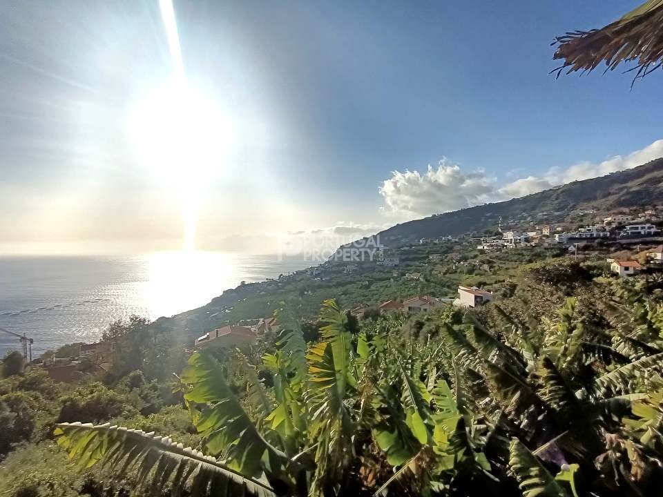 Land in Estreito da Calheta, Madeira, Portugal 4 - 16669050