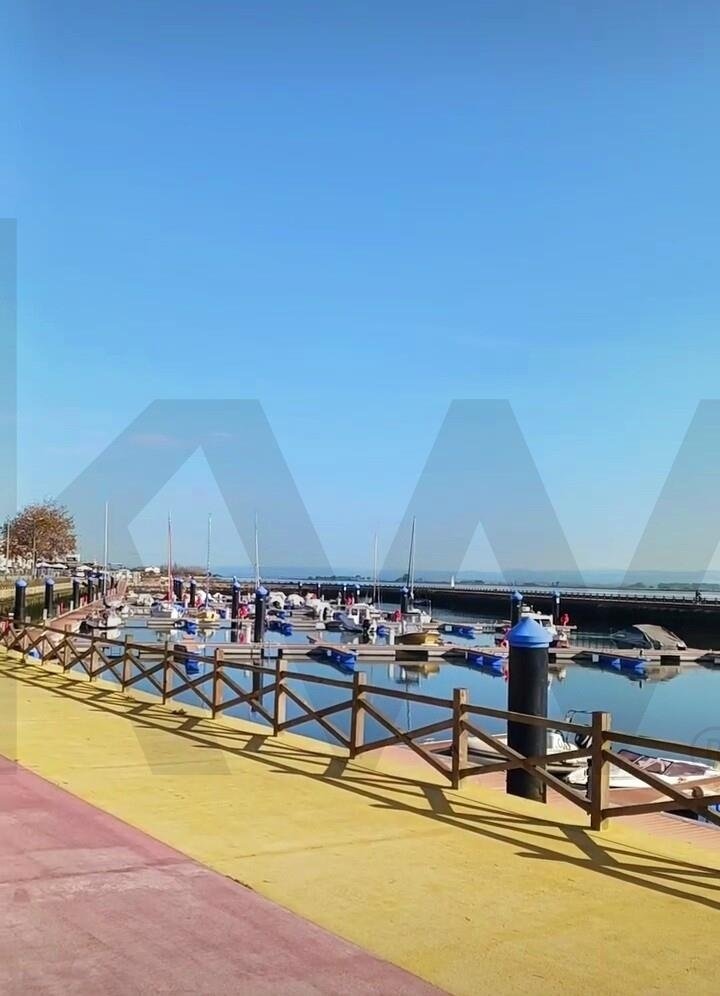 Torreira, Aveiro District, Portugal 5 - 16671116