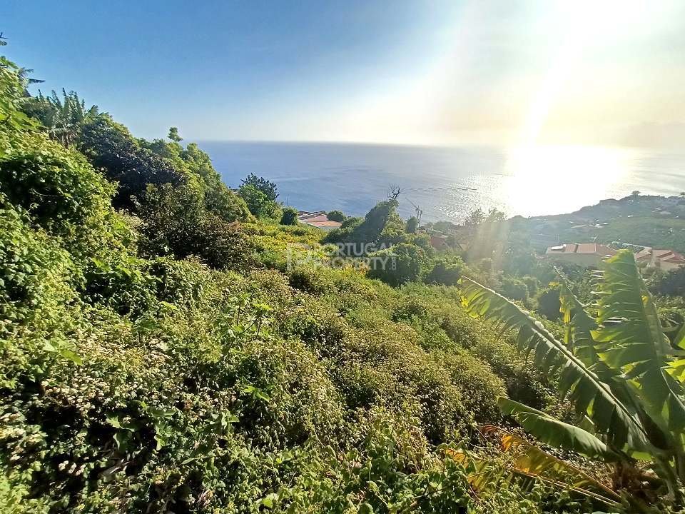 Land in Estreito da Calheta, Madeira, Portugal 5 - 16669050