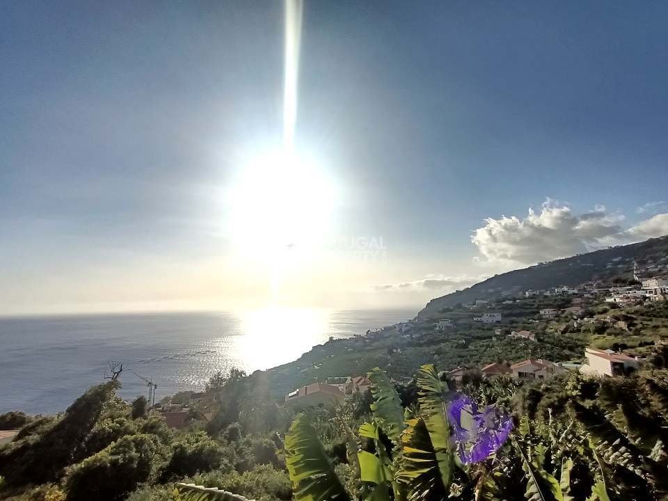 Land in Estreito da Calheta, Madeira, Portugal 3 - 16669050