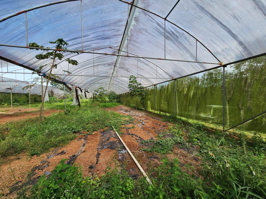 Land in La Chorrera, Panama, Panama 1 - 16669960