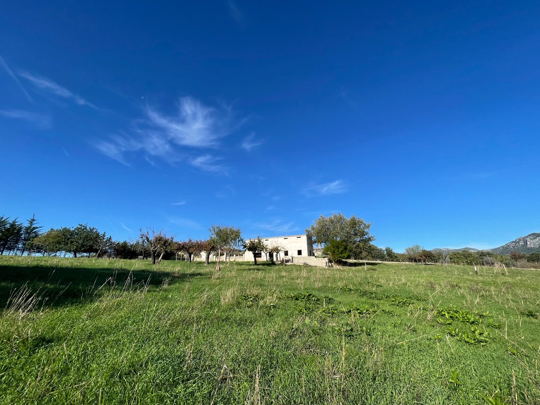 Terreno a Selva, Isole Baleari, Spagna 3 - 16669529