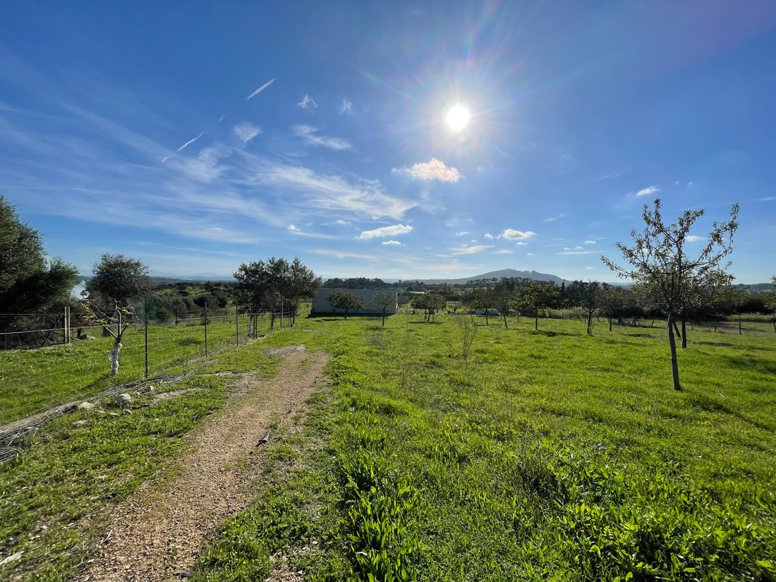 Terreno a Selva, Isole Baleari, Spagna 1 - 16669529