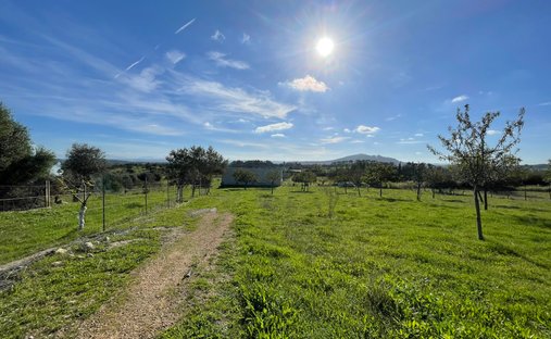 Terreno en Selva, Islas Baleares, España 1