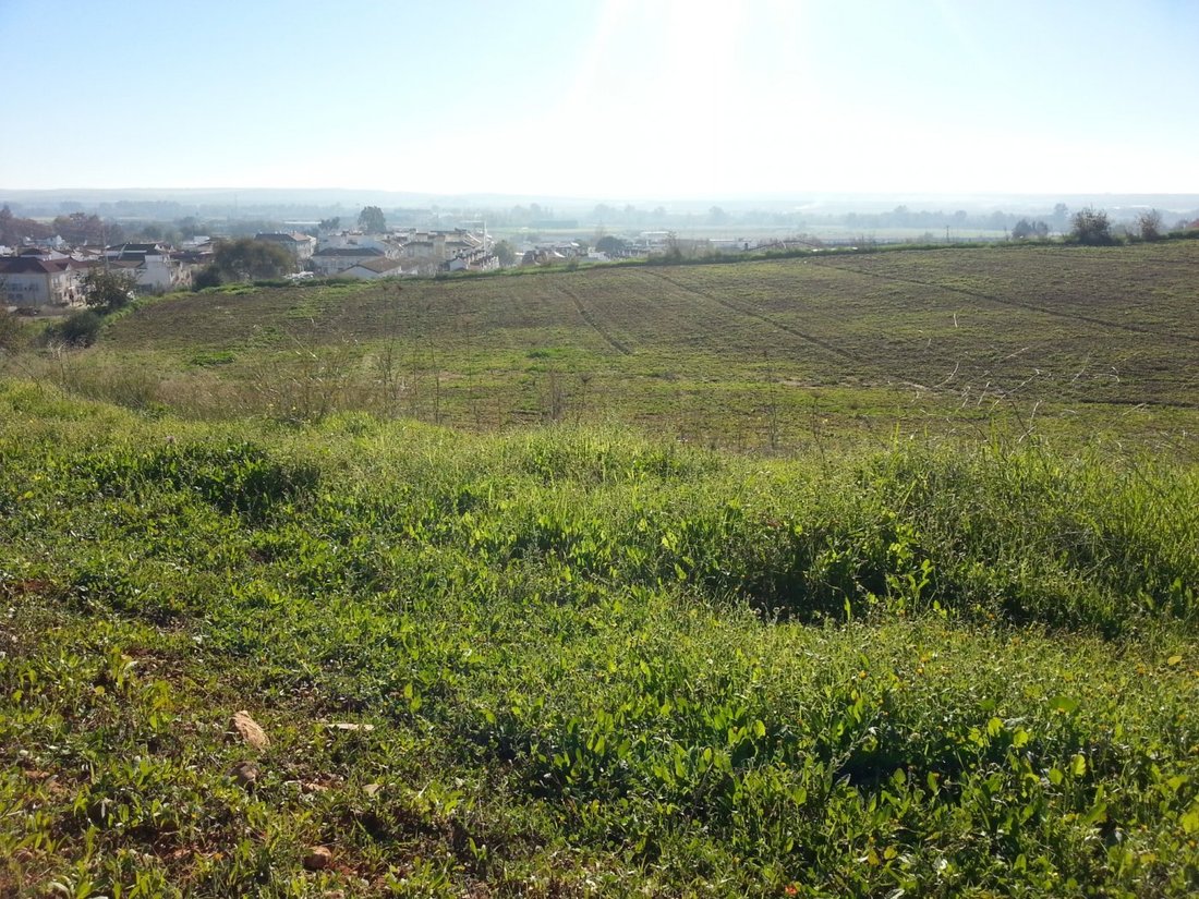 Land in Almodovar del Rio, Andalusia, Spain 3 - 16671027