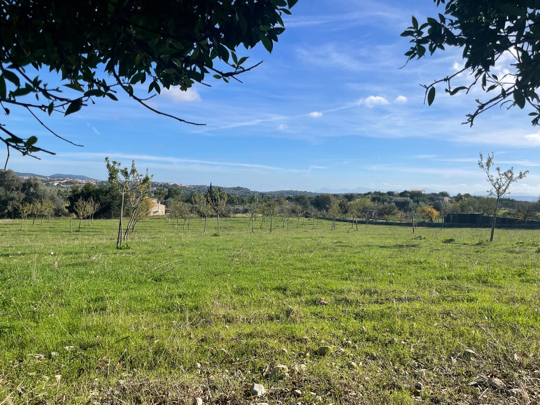 Terreno a Selva, Isole Baleari, Spagna 2 - 16669529