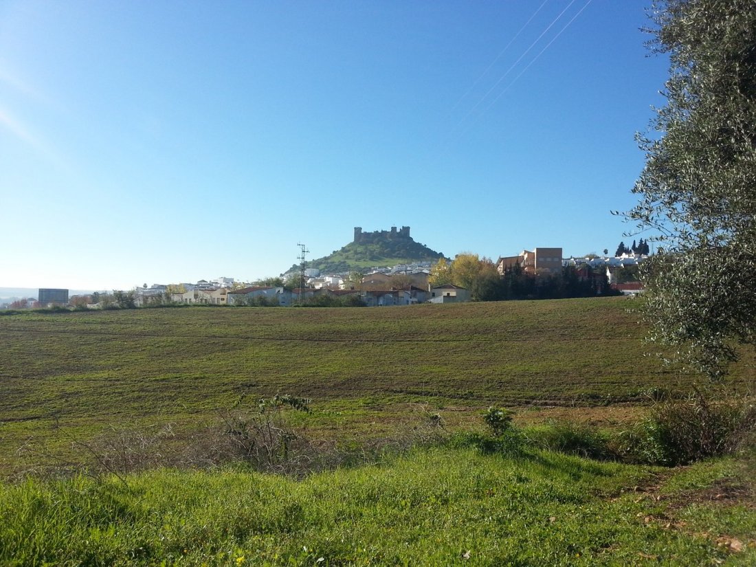 Land in Almodovar del Rio, Andalusia, Spain 1 - 16671027