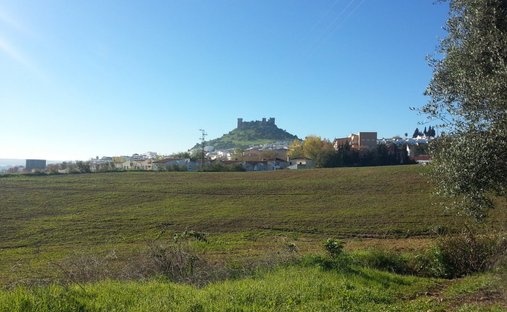 Terrain à Almodóvar del Río, Andalousie, Espagne 1