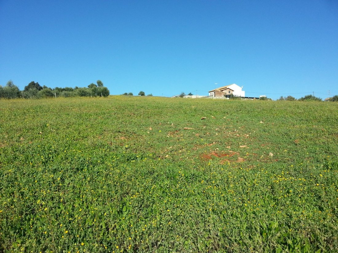 Land in Almodovar del Rio, Andalusia, Spain 4 - 16671027