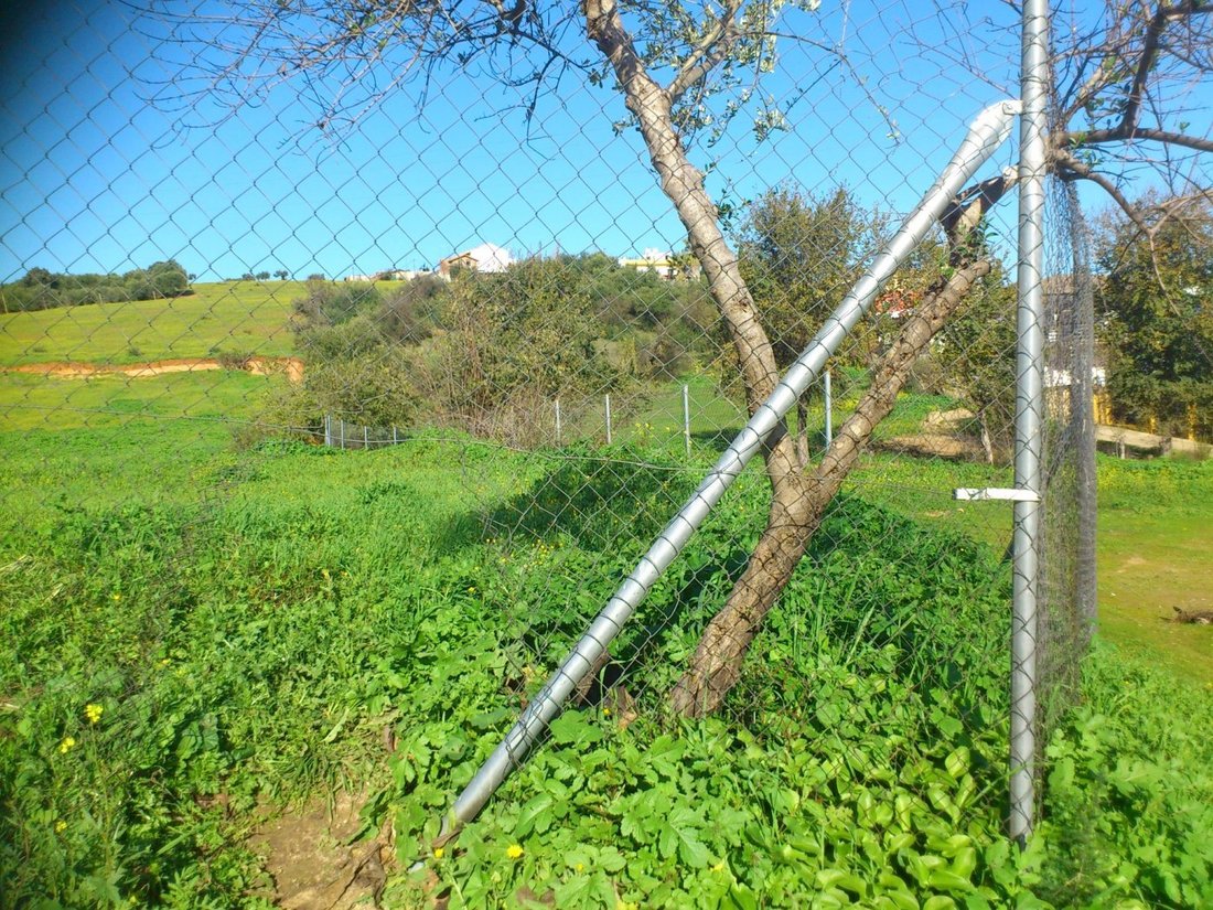 Land in Almodovar del Rio, Andalusia, Spain 5 - 16671027