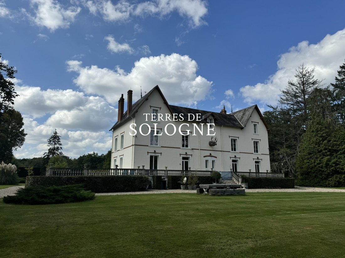 Chateau in Cerdon, Centre-Val de Loire, France 1 - 16670768