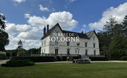 Chateau in Cerdon, Centre-Val de Loire, France 1