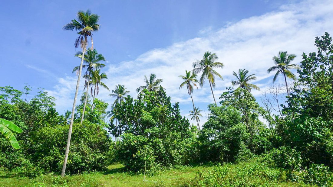Land in Ahangama, Southern Province, Sri Lanka 4 - 16670923