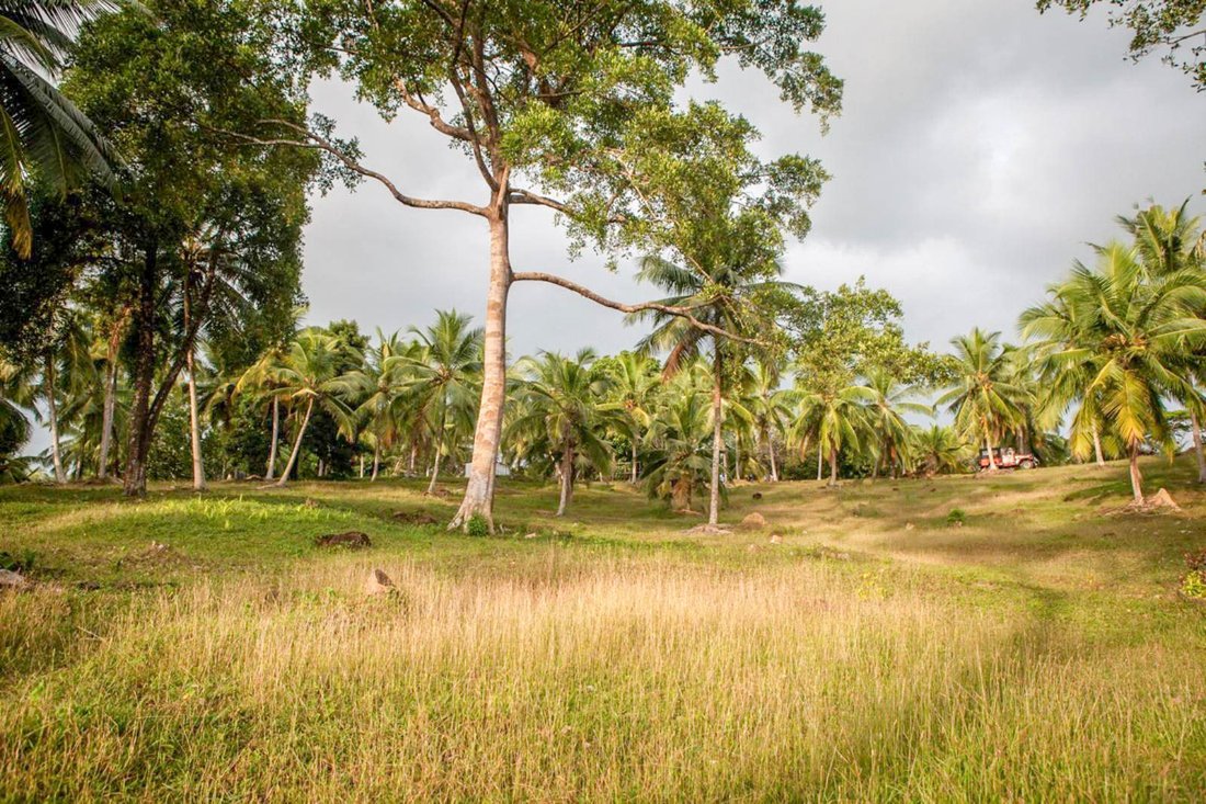 Land in Habaraduwa, Southern Province, Sri Lanka 2 - 16670857
