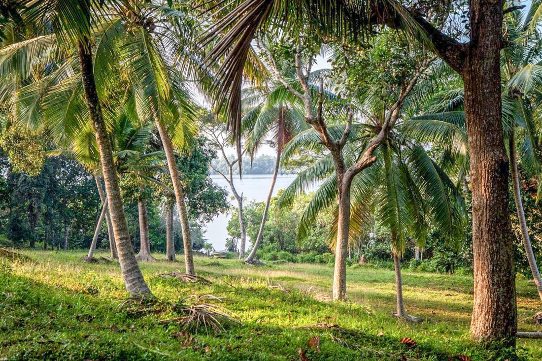Land in Habaraduwa, Southern Province, Sri Lanka 1 - 16670857