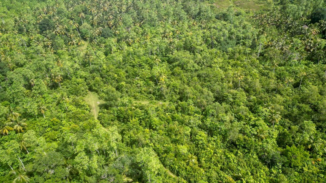 Land in Ahangama, Southern Province, Sri Lanka 3 - 16670923