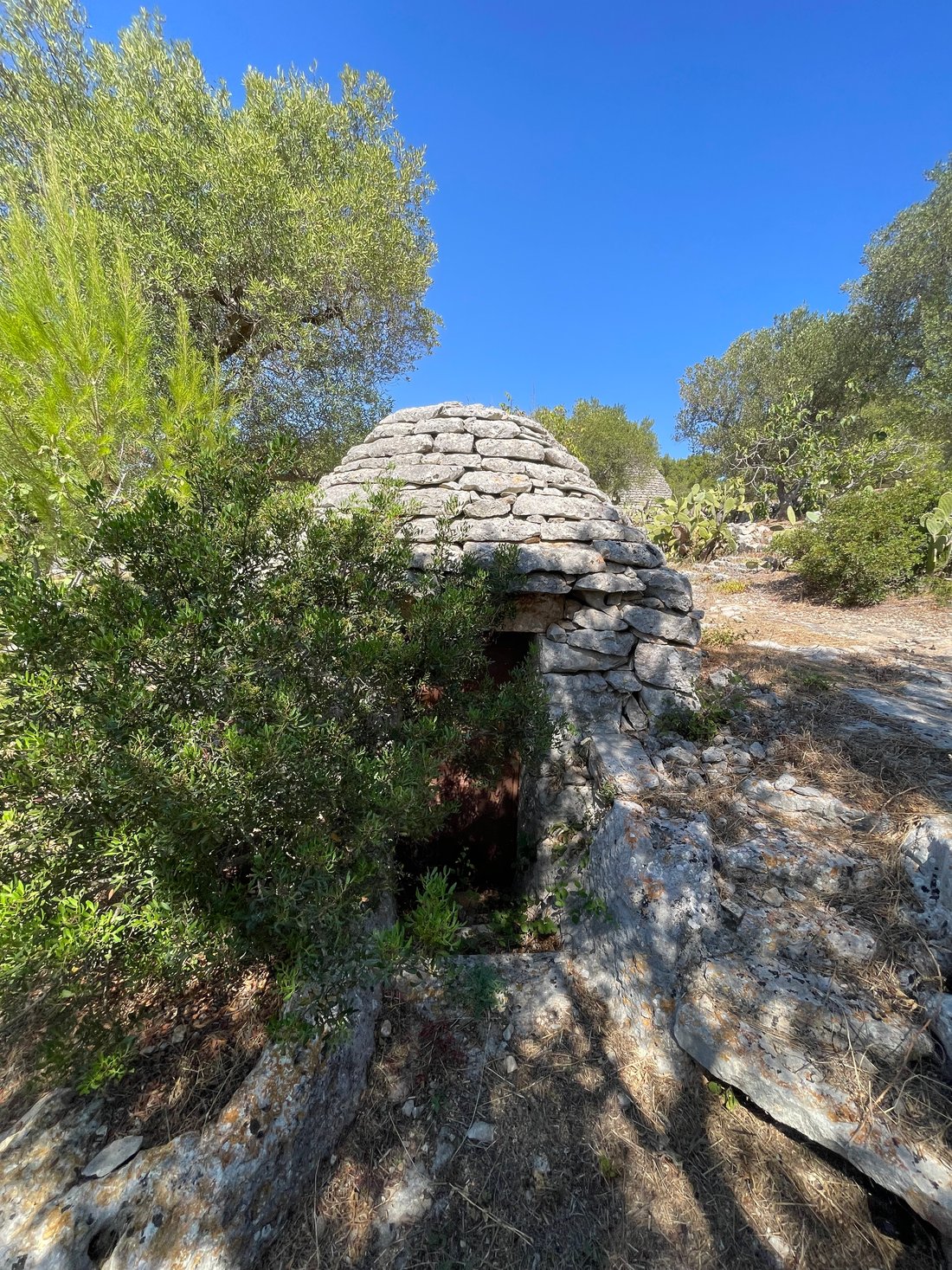 Villa in Cisternino, Apulia, Italy 4 - 16671467
