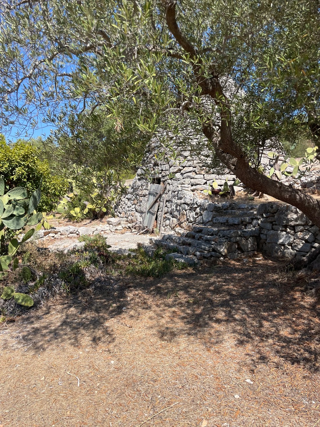Villa in Cisternino, Apulia, Italy 5 - 16671467
