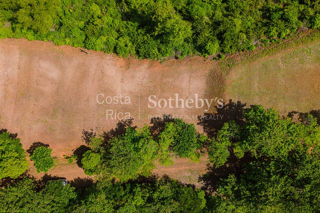 Land in Ocotal, Carrillo, Costa Rica 3 - 16671535