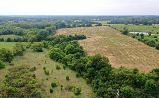 Azienda agricola a Spring Hill, Kansas, Stati Uniti 1