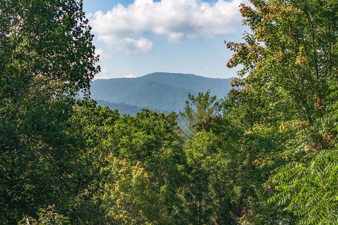 House in Asheville, North Carolina, United States 3 - 15992198