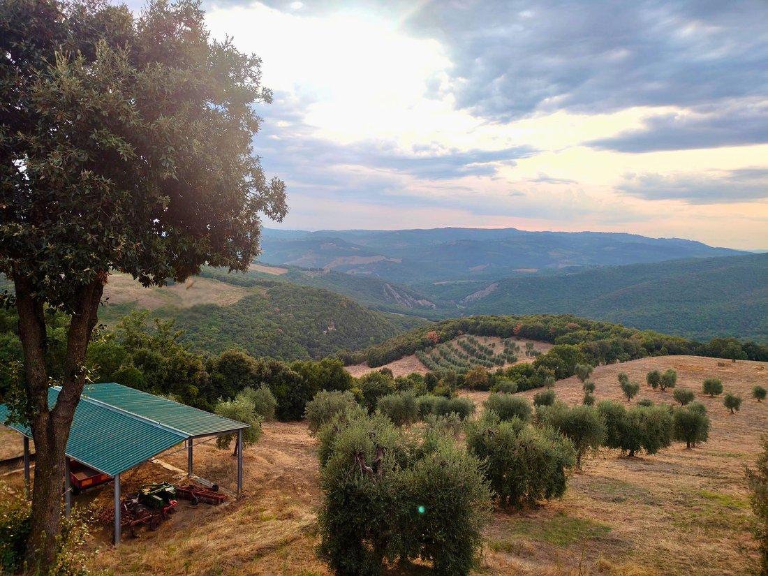 Casa di campagna a Castiglione d'Orcia, Toscana, Italia 1 - 16672665