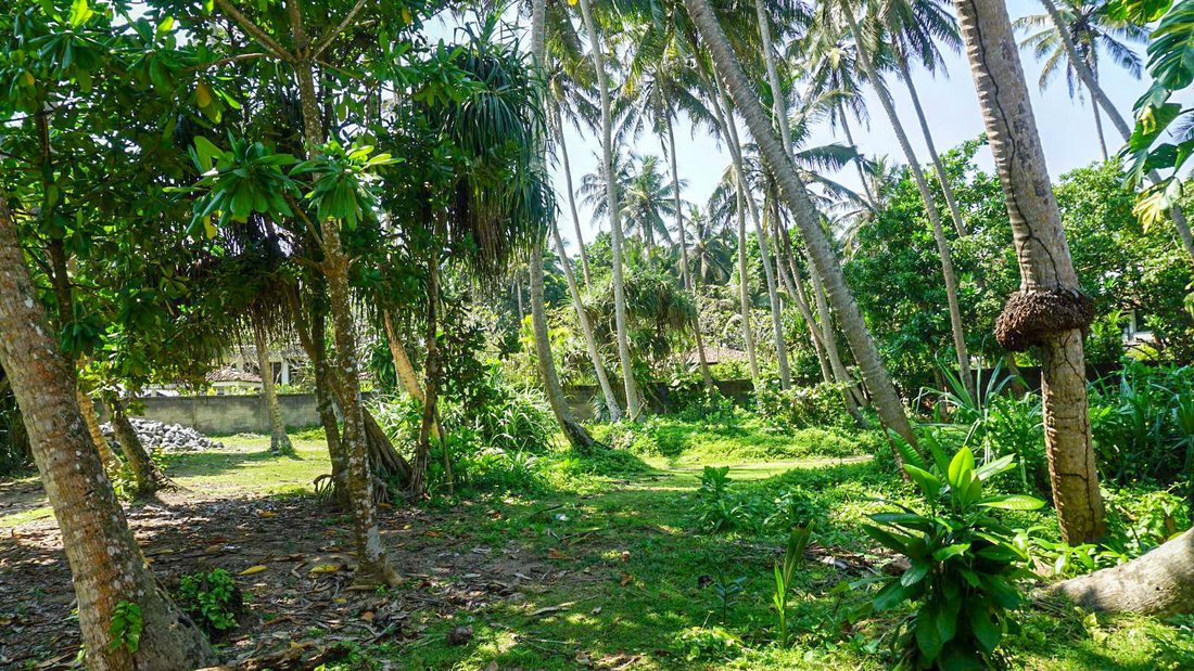 Land in Talpe, Southern Province, Sri Lanka 5 - 16681793