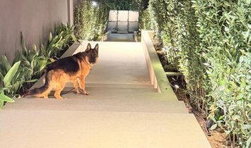 Villa in Ekali, Attica, Greece 1