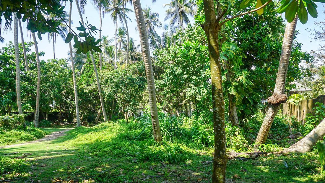 Land in Talpe, Southern Province, Sri Lanka 4 - 16681793