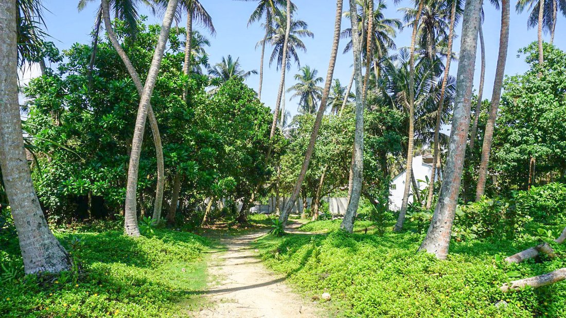Land in Talpe, Southern Province, Sri Lanka 2 - 16681793