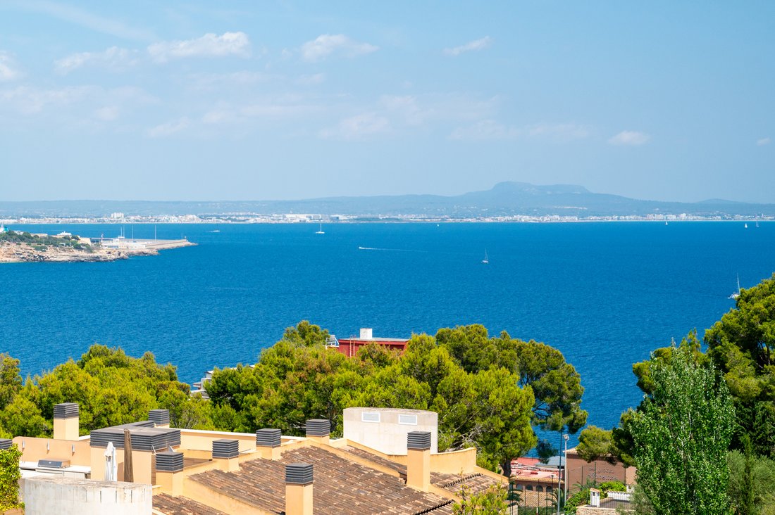 Attico a Portals Nous, Calvià, Isole Baleari 1 - 16677529