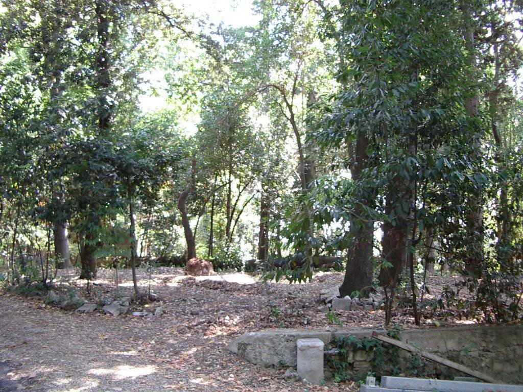Villa in Colli del Tronto, Marche, Italy 2 - 16679495
