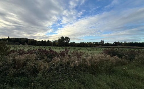 Provencal Farmhouse Of 277m² With Swimming Pool On Land Of Almost 2ha