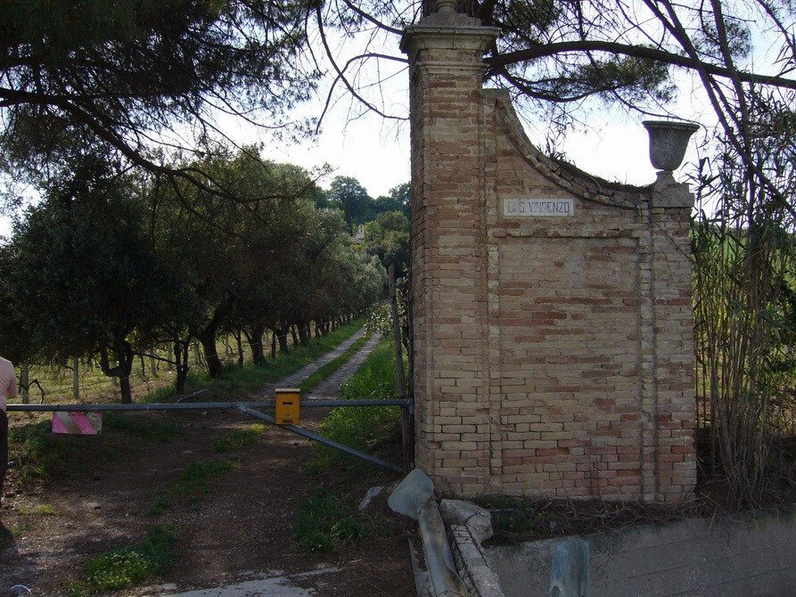 Land in Italy 2 - 16679277